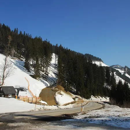 Aparthotel Holzbox Niederalpl 3*