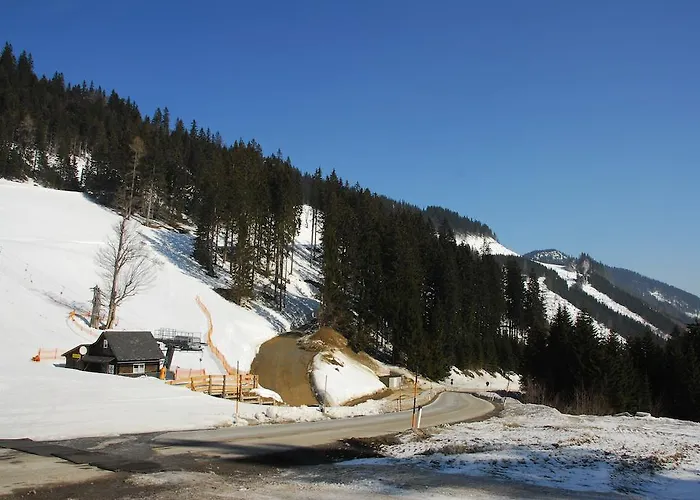 Hotel apartamentowy Holzbox Niederalpl 3*