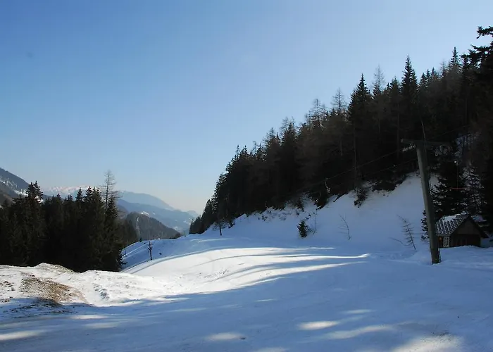 Aparthotel Holzbox Niederalpl