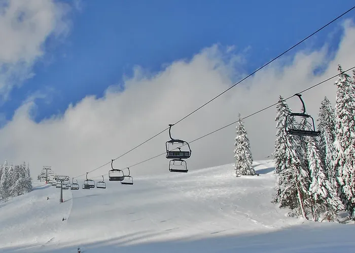 Holzbox Niederalpl 3* Mürzsteg